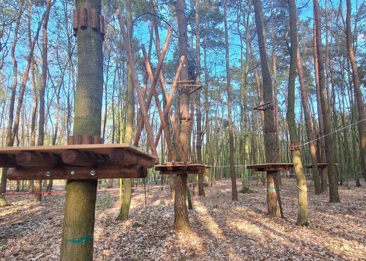 W Słupcy powstaje park linowy. Od kiedy będzie można korzystać?