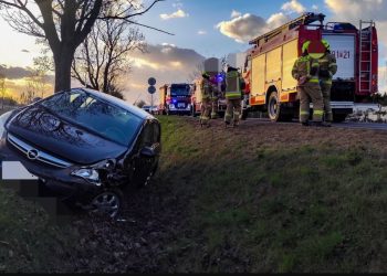 Groźnie między Słupcą a Strzałkowem. Wypadł w drogi