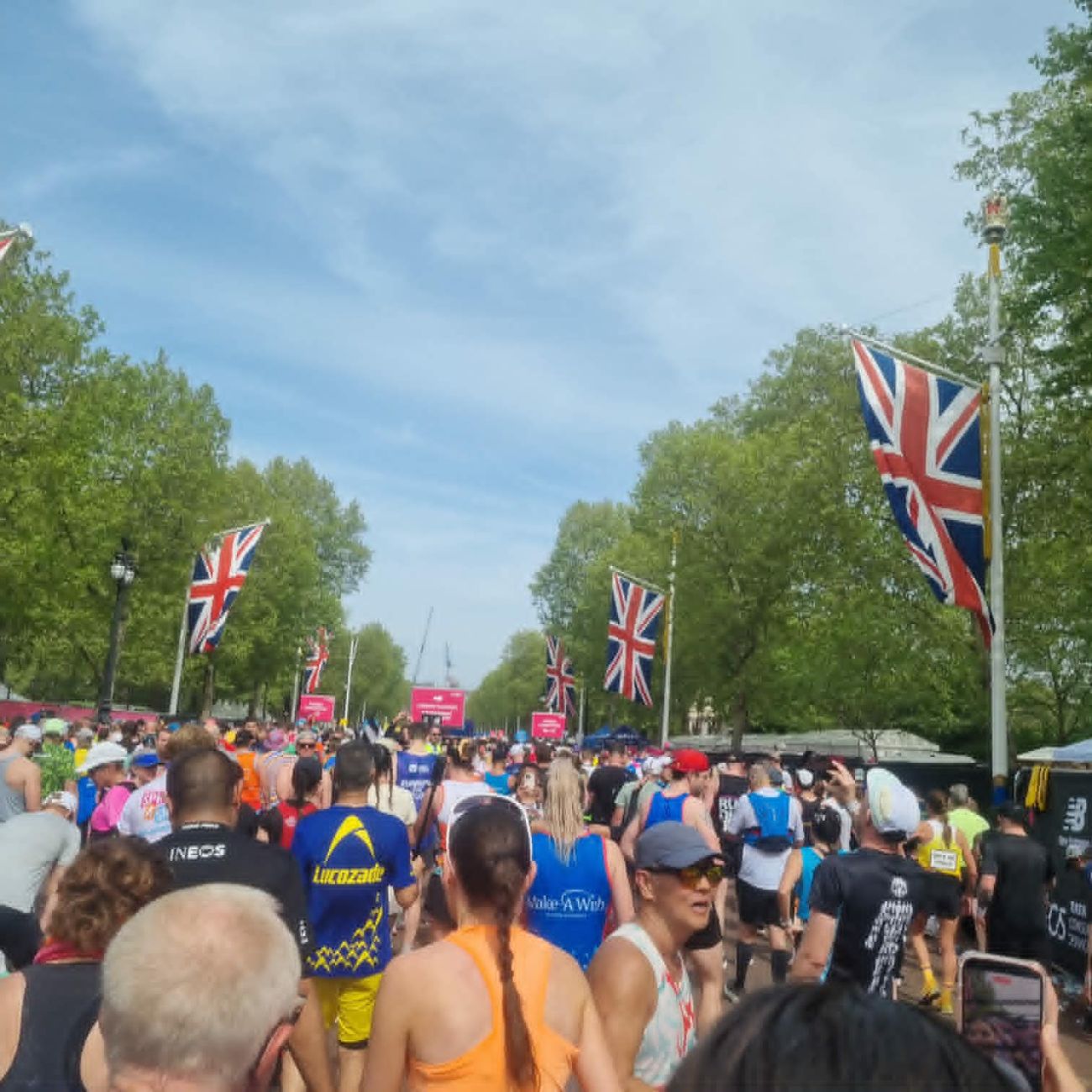 To naprawdę Top of the Top