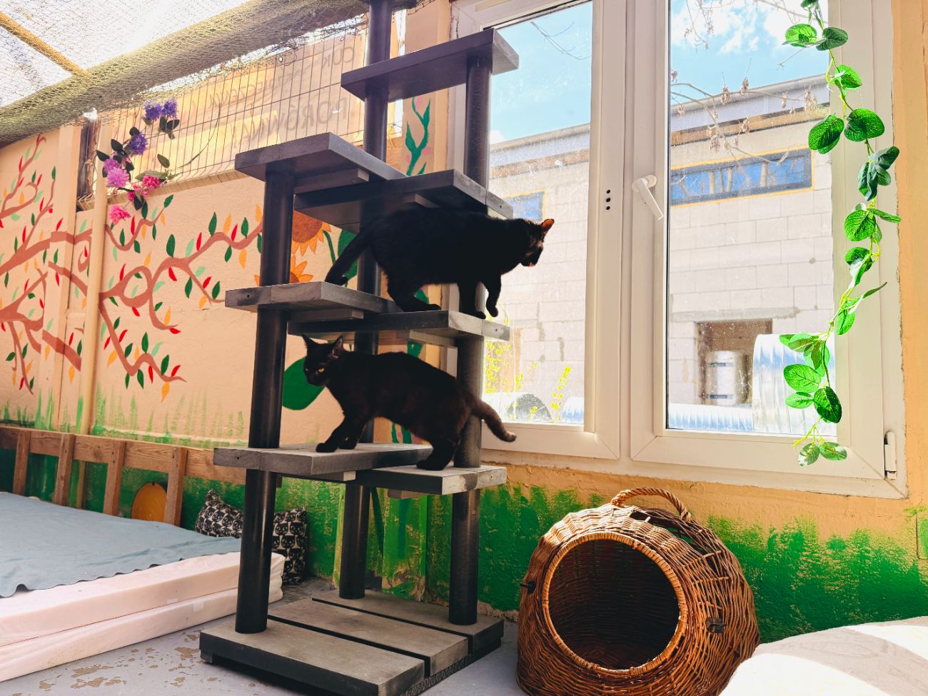 8 ton ubrań z Konina zamieniło się w pomoc dla zwierząt. Zobacz efekty akcji Ferio.