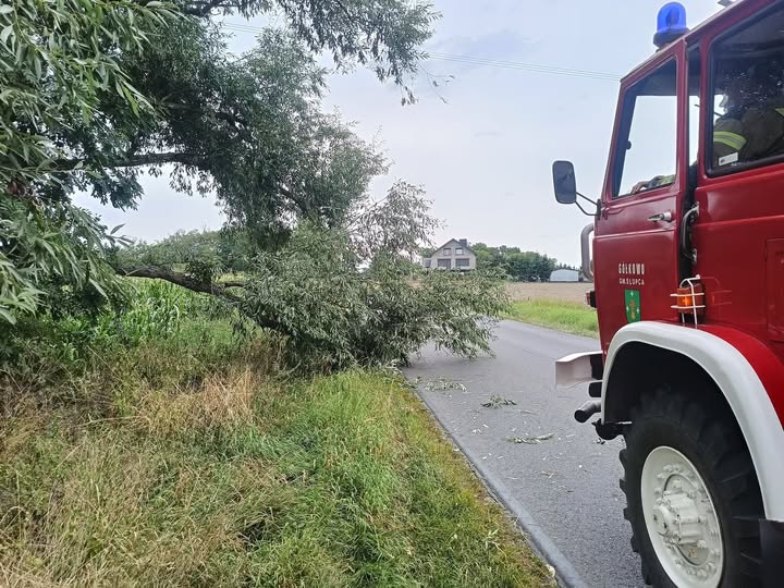 Niebezpiecznie w Kotuni