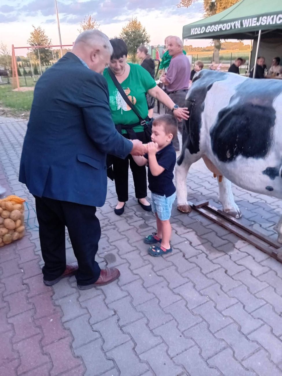 Święto Ziemniaka w Dziedzicach