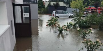 Zalana Wspólna. Co zrobi miasto?